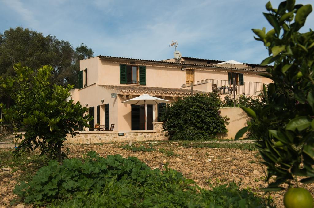 Agroturismo Can Feliu Porreres Oda fotoğraf