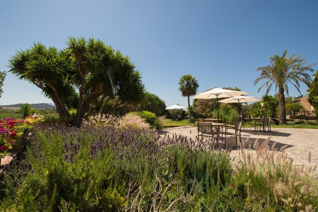 Agroturismo Can Feliu Porreres Dış mekan fotoğraf