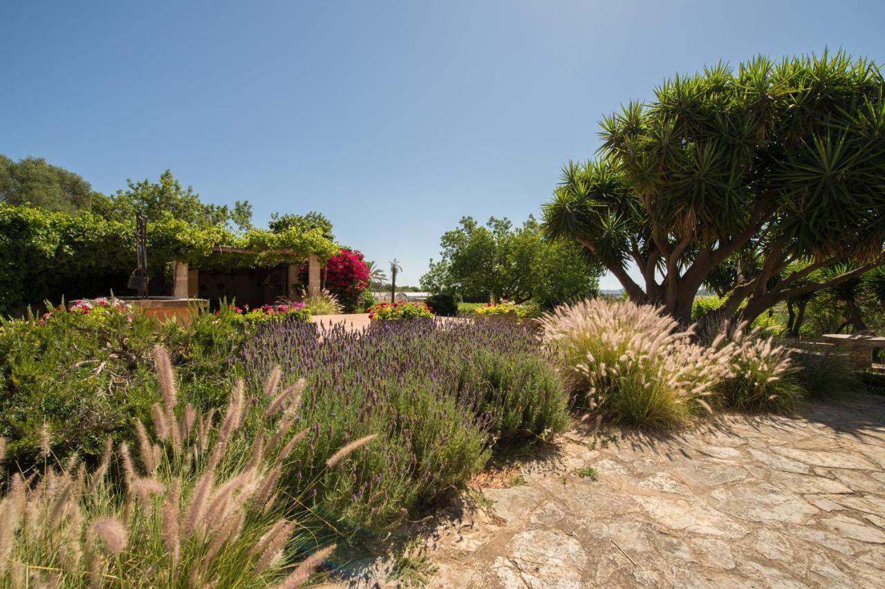 Agroturismo Can Feliu Porreres Dış mekan fotoğraf